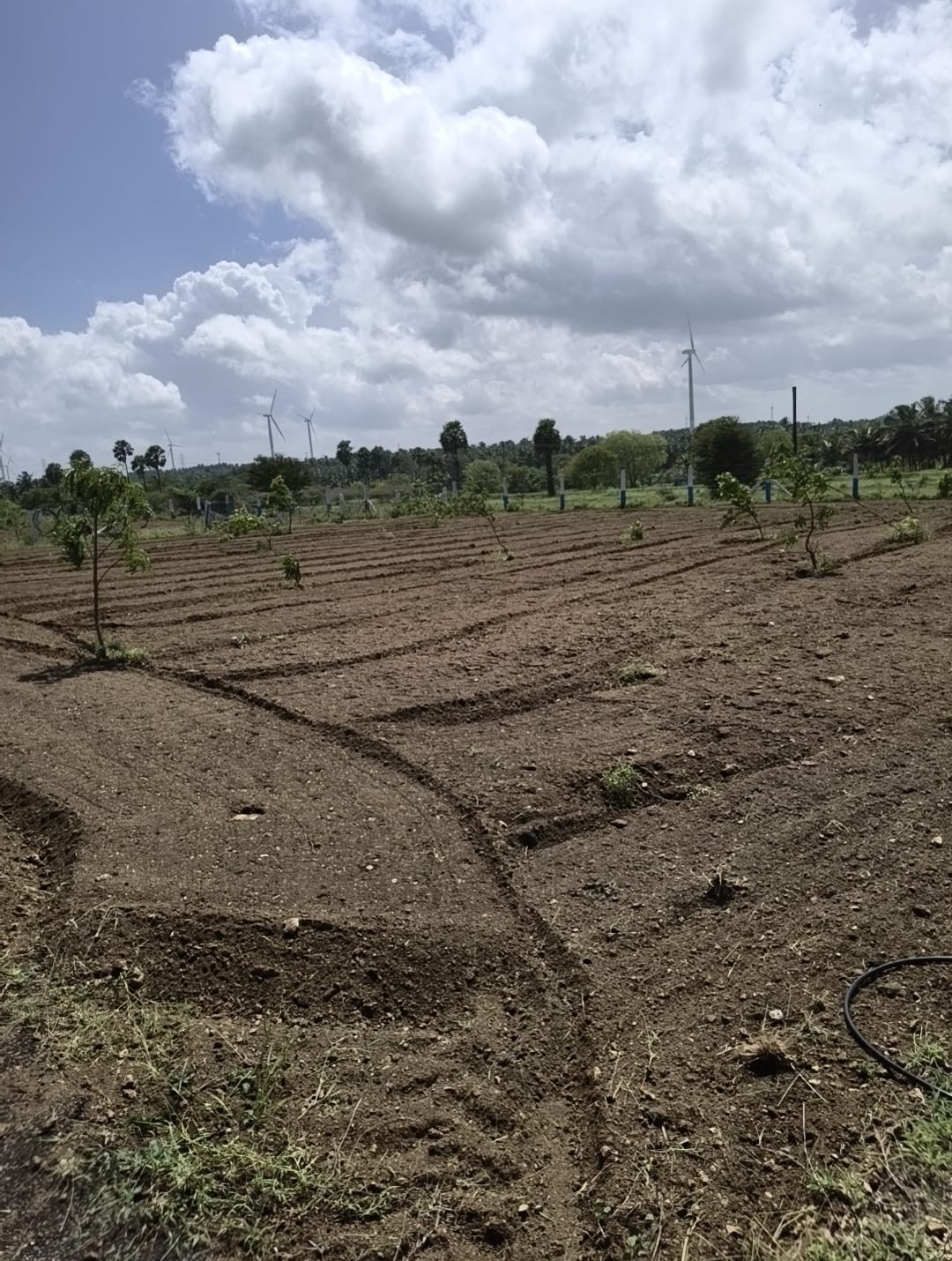 Sangamam Farms Image 2